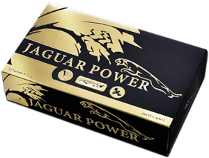 Jaguar-1.png